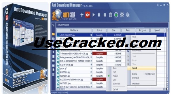 Ant Download Manager Pro 2.1.0 Build 75689 Crack - Free Download | KoLomPC