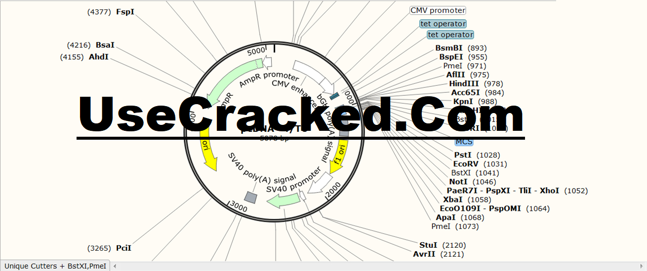 Retak Snapgene