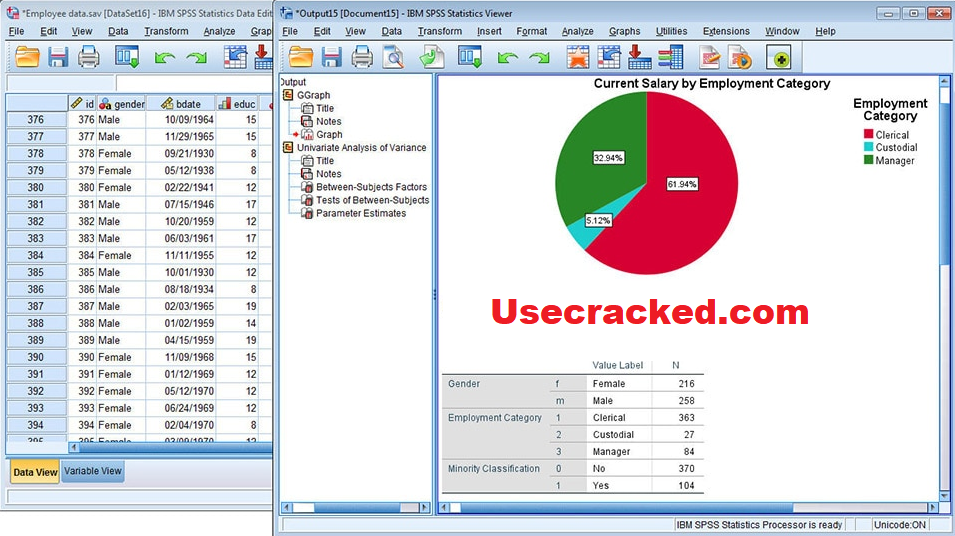 Grieta de estadísticas de IBM SPSS