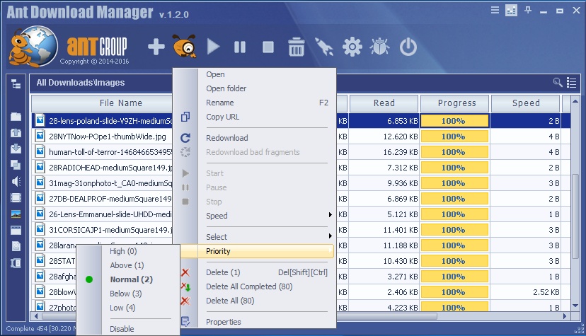 Ant Download Manager Crack